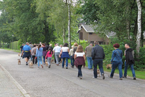 border terriër wandeling