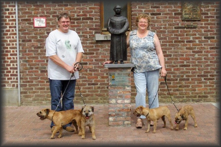 of lightning spot border terriers